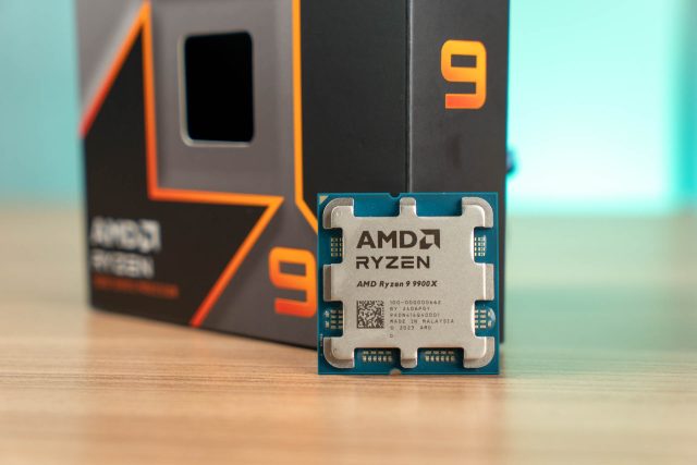 AMD Ryzen 9 9900X 04